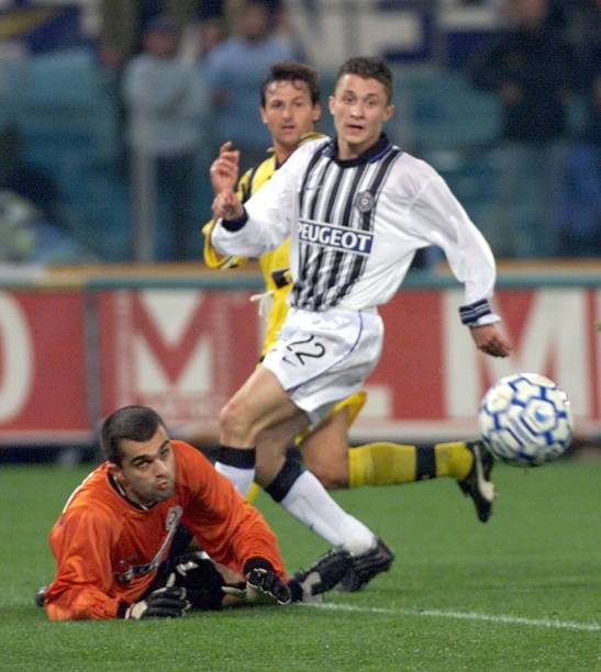 贏得了廣泛 贏得了廣泛