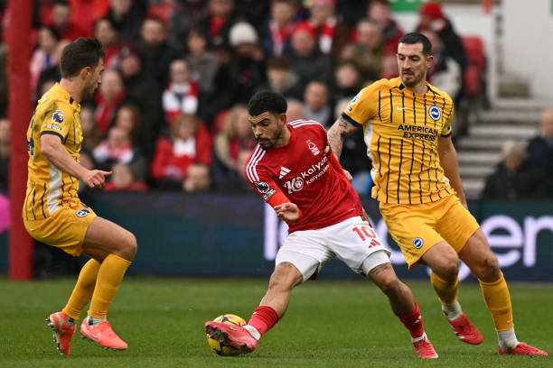 殊荣不仅是 殊荣不仅是