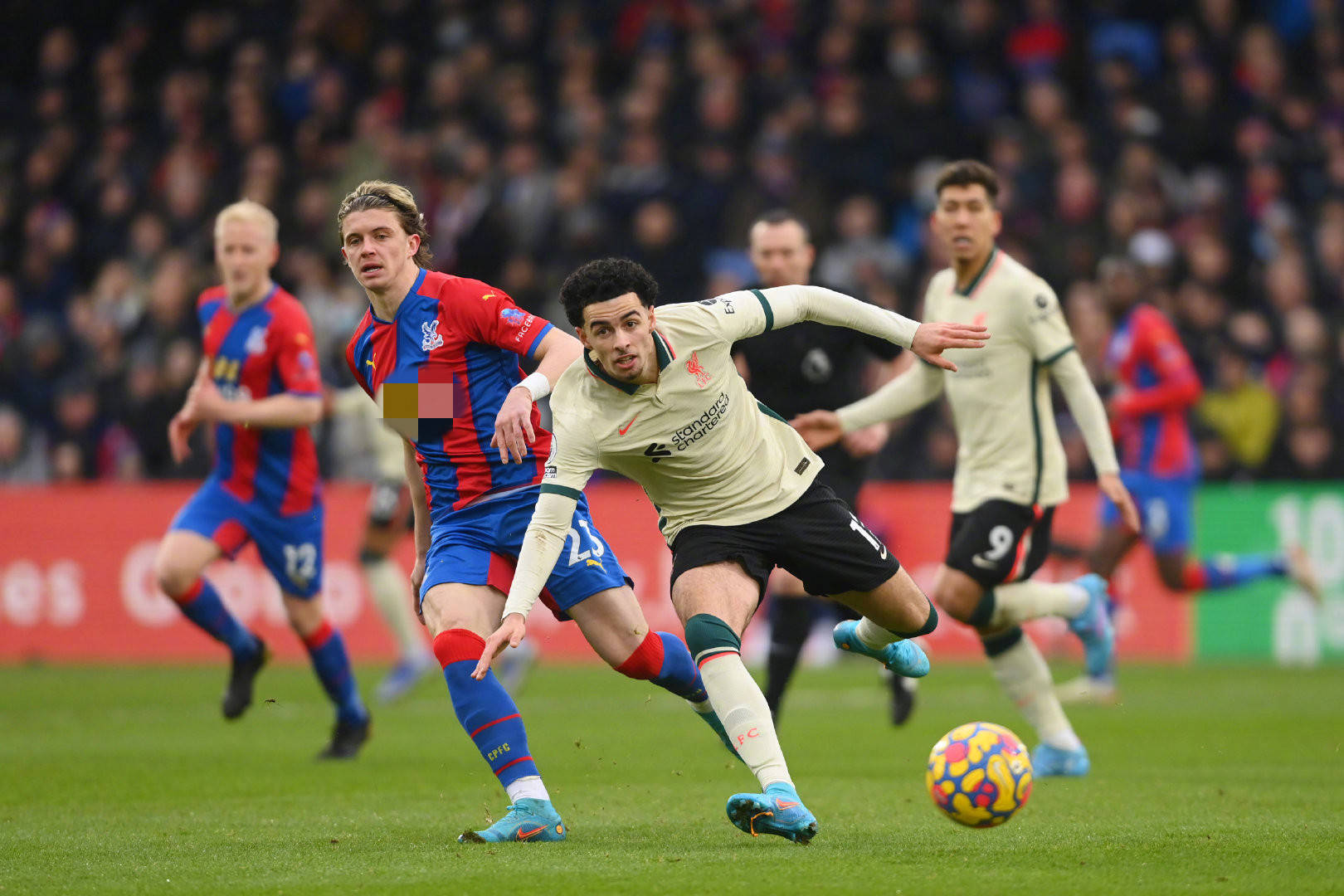 底有哪些精 底有哪些精